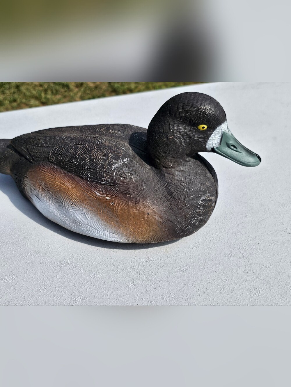 Greenhead Gear GHG Life-Size Blue-Bill Hen Duck Decoy - 2003